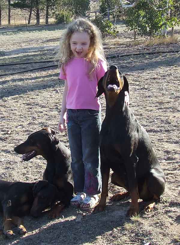 Dogs & Caitlin